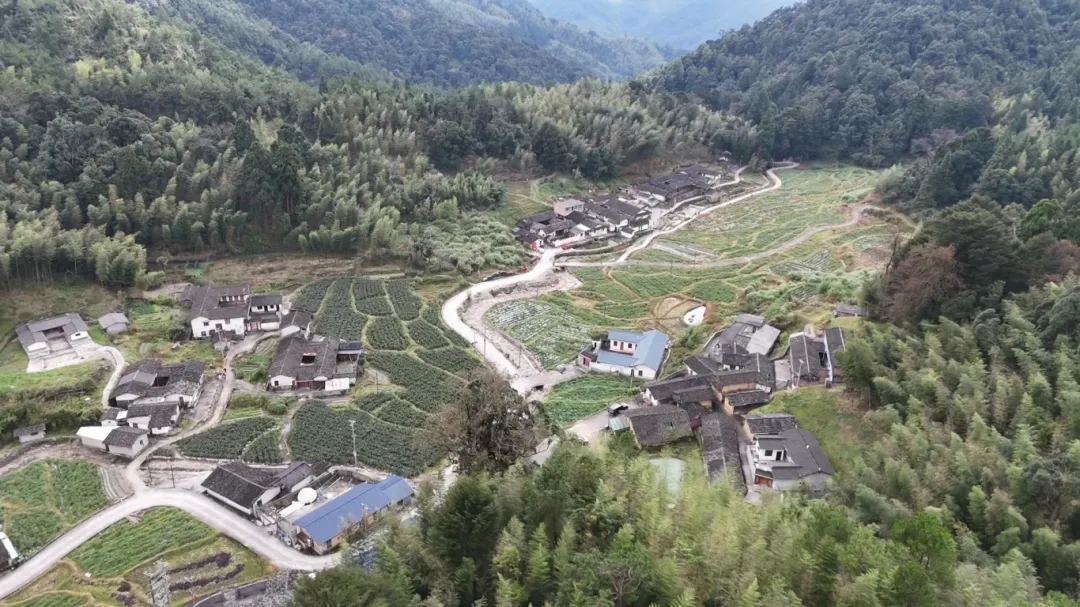 暫無(wú)圖片