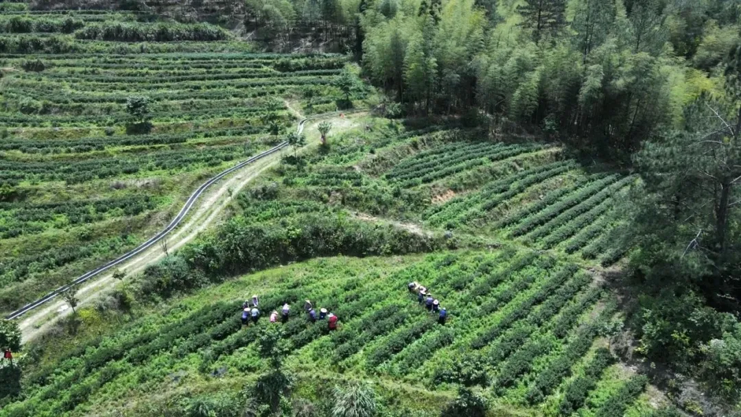 暫無(wú)圖片