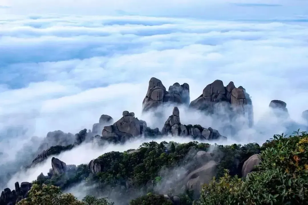 暫無(wú)圖片