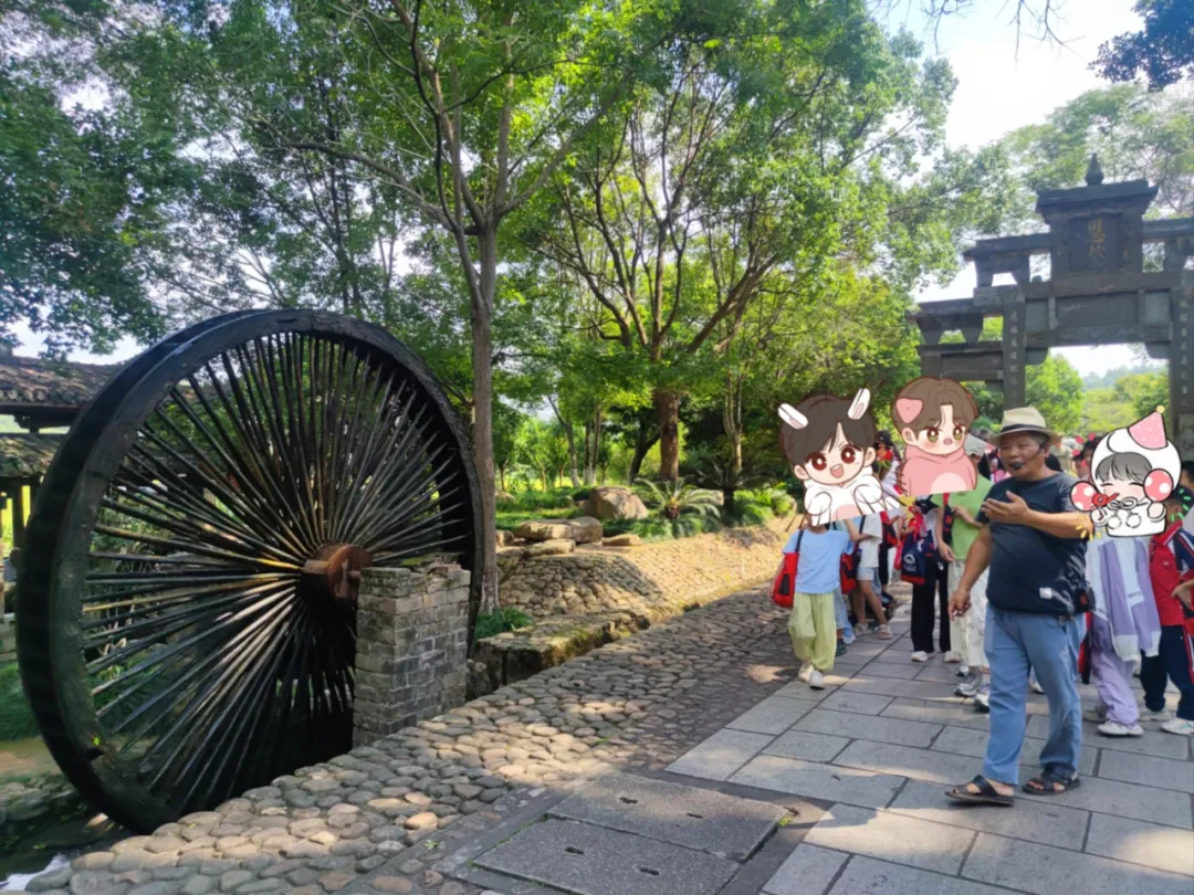 圖片