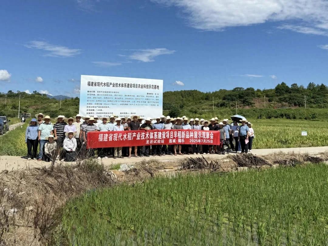 暫無圖片