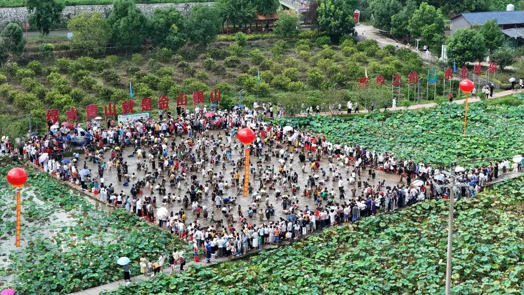 暫無(wú)圖片