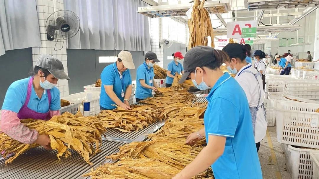 暫無圖片