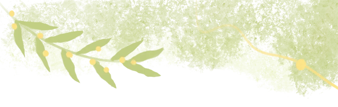 暫無(wú)圖片