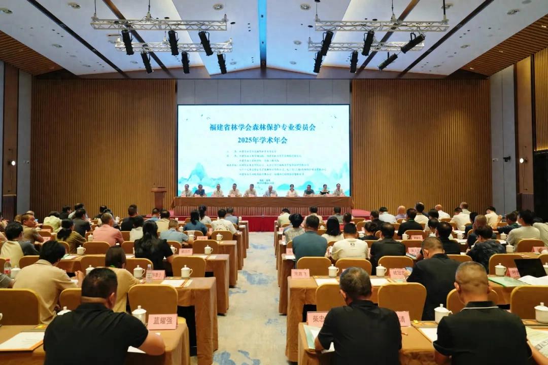 暫無圖片