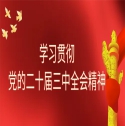 學(xué)習(xí)貫徹黨的二十屆三中全會(huì)精神